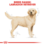 ROYAL CANIN Labrador Adult Dry Dog Food 3kg