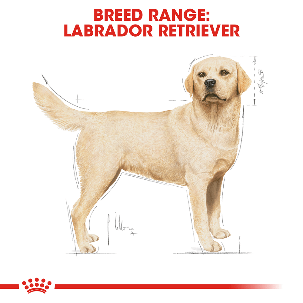 ROYAL CANIN Labrador Adult Dry Dog Food 3kg