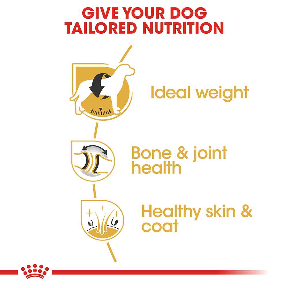 ROYAL CANIN Labrador Adult Dry Dog Food 3kg