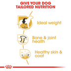 ROYAL CANIN Labrador Adult Dry Dog Food 3kg