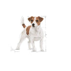 Royal Canin Mini Adult Pouch | 12x85g