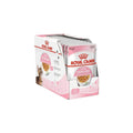 Royal Canin Feline Health Nutrition P Kitten Sterilised in Jelly Wet Cat Food 85g Pack of 12