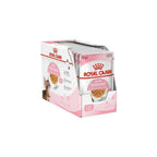 Royal Canin Feline Health Nutrition P Kitten Sterilised in Jelly Wet Cat Food 85g Pack of 12