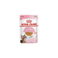 Royal Canin Feline Health Nutrition S Kitten Sterilised in Jelly Wet Cat Food Single 85g