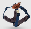 SPUTNIK - Harness - Blue