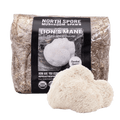 Organic Lion's Mane Mushroom Sawdust Spawn
