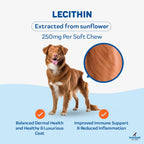 Advanced Skin & Coat Soft Chews