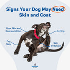 Advanced Skin & Coat Soft Chews