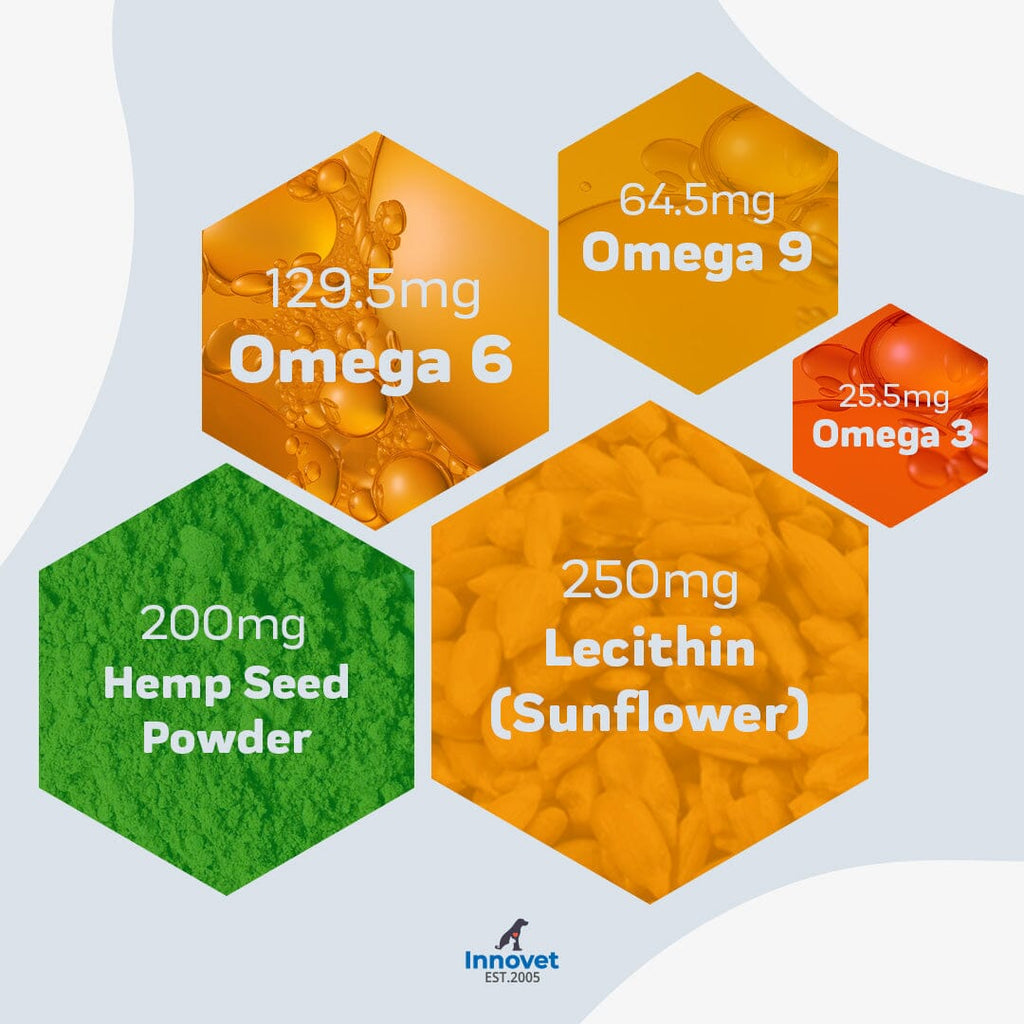 Advanced Skin & Coat Soft Chews