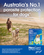 NexGard Spectra For Large Dogs 15.1-30kg (Purple)