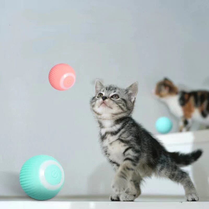 ✈️Buy 2 Get 15% OFF & Free shipping📦Smart Cat Interactive Ball Toys
