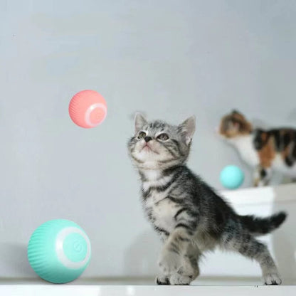 ✈️Buy 2 Get 15% OFF & Free shipping📦Smart Cat Interactive Ball Toys