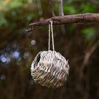 🔥BUY 2 GET 10% OFF🐦Hummingbird Nest House