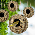 🔥BUY 2 GET 10% OFF🐦Hummingbird Nest House