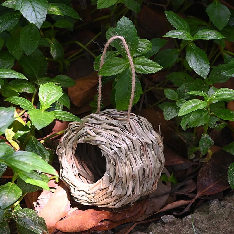 🔥BUY 2 GET 10% OFF🐦Hummingbird Nest House