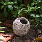 🔥BUY 2 GET 10% OFF🐦Hummingbird Nest House