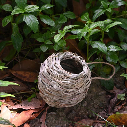 🔥BUY 2 GET 10% OFF🐦Hummingbird Nest House