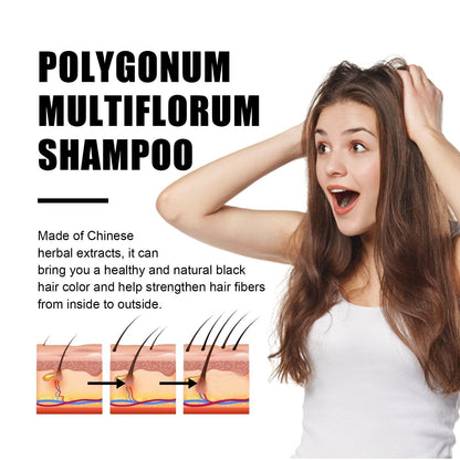 🔥Buy 2 Free Shipping✈️Polygonum Multiflorum GInger Shine Nourishing Root Shampoo