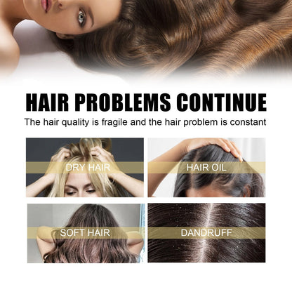 🔥Buy 2 Free Shipping✈️Polygonum Multiflorum GInger Shine Nourishing Root Shampoo