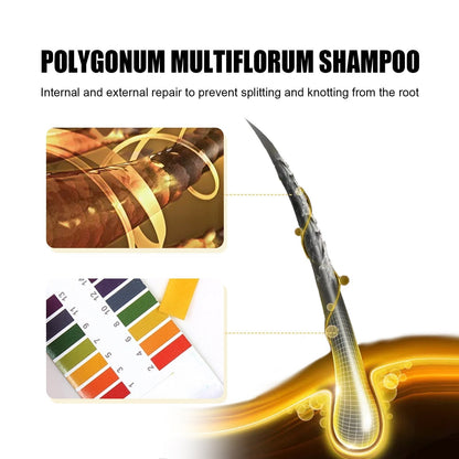 🔥Buy 2 Free Shipping✈️Polygonum Multiflorum GInger Shine Nourishing Root Shampoo
