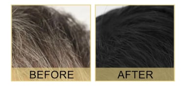 🔥Buy 2 Free Shipping✈️Polygonum Multiflorum GInger Shine Nourishing Root Shampoo