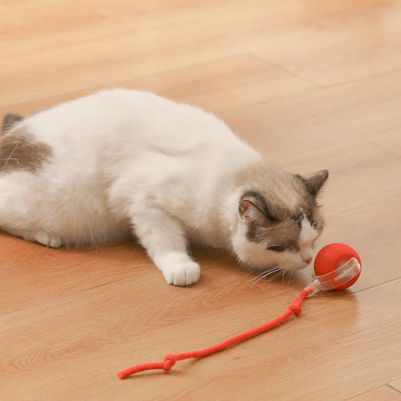 🎊HOT SALE 49% OFF - 🐱🐶Smart Automatic Rolling Pet Ball