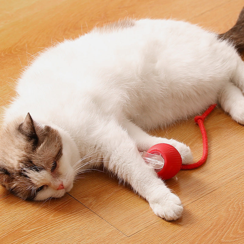 🎊HOT SALE 49% OFF - 🐱🐶Smart Automatic Rolling Pet Ball
