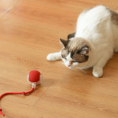 🎊HOT SALE 49% OFF - 🐱🐶Smart Automatic Rolling Pet Ball