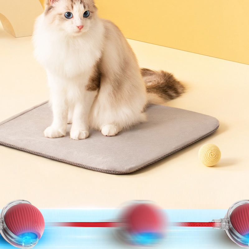 🎊HOT SALE 49% OFF - 🐱🐶Smart Automatic Rolling Pet Ball