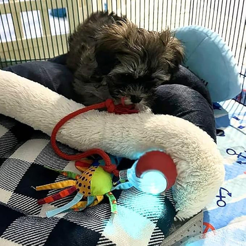 🎊HOT SALE 49% OFF - 🐱🐶Smart Automatic Rolling Pet Ball