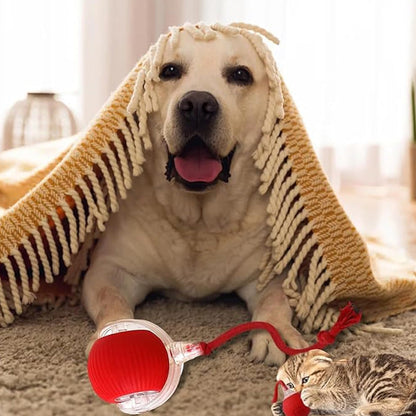 🎊HOT SALE 49% OFF - 🐱🐶Smart Automatic Rolling Pet Ball