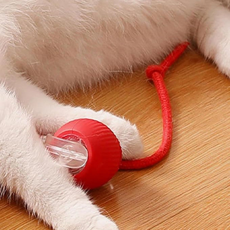 🎊HOT SALE 49% OFF - 🐱🐶Smart Automatic Rolling Pet Ball