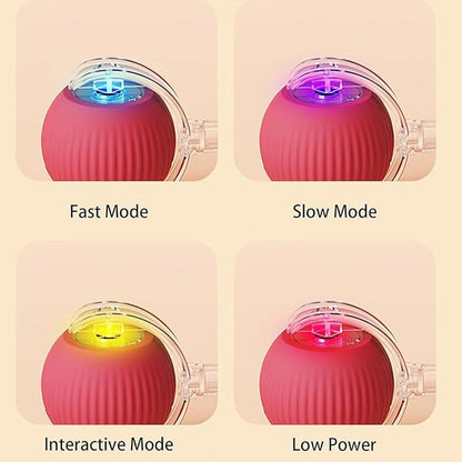 🎊HOT SALE 49% OFF - 🐱🐶Smart Automatic Rolling Pet Ball