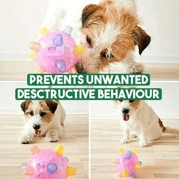 🎄Early Xmas Sales - 49% OFF🎅Jumping Activation Ball For Dogs And Cats
