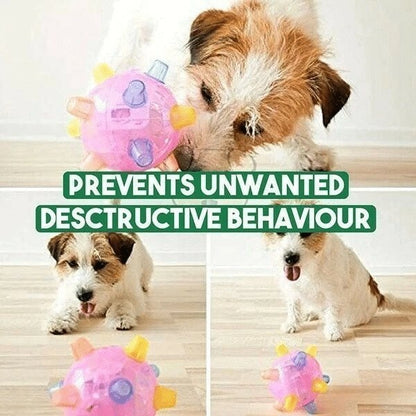 🎄Early Xmas Sales - 49% OFF🎅Jumping Activation Ball For Dogs And Cats