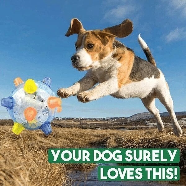 🎄Early Xmas Sales - 49% OFF🎅Jumping Activation Ball For Dogs And Cats
