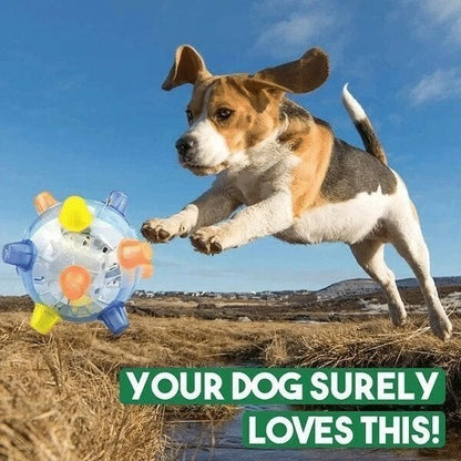 🎄Early Xmas Sales - 49% OFF🎅Jumping Activation Ball For Dogs And Cats