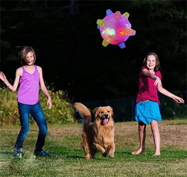 🎄Early Xmas Sales - 49% OFF🎅Jumping Activation Ball For Dogs And Cats
