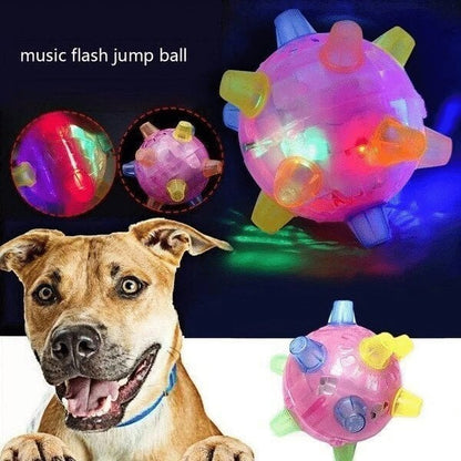 🎄Early Xmas Sales - 49% OFF🎅Jumping Activation Ball For Dogs And Cats