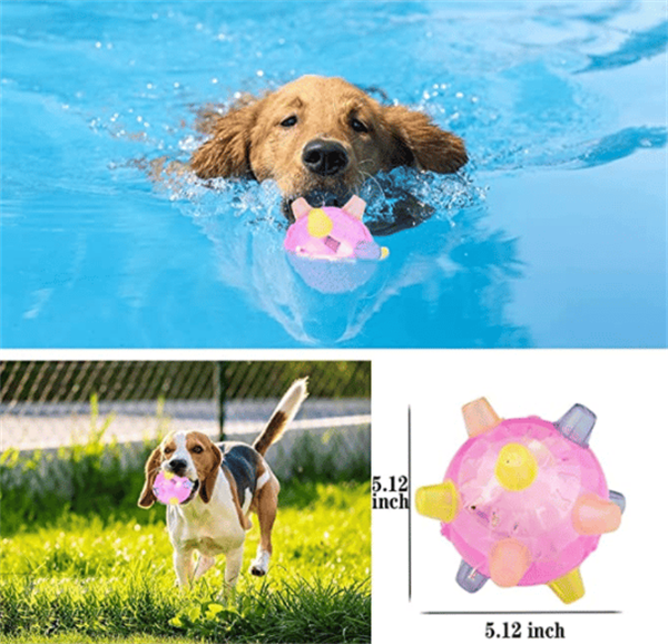 🎄Early Xmas Sales - 49% OFF🎅Jumping Activation Ball For Dogs And Cats