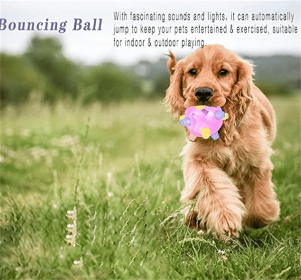 🎄Early Xmas Sales - 49% OFF🎅Jumping Activation Ball For Dogs And Cats