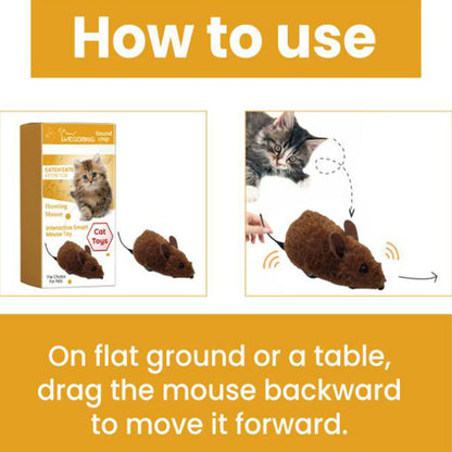 🔥2025 Hot Sale 50% OFF🔥🐭Mouse toy for cats and dogs No🐁