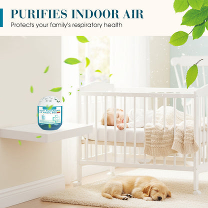 🔥2026 New Collection-70% OFF⏰Indoor Air Purification Dust Removal Magic Box🏠🌿