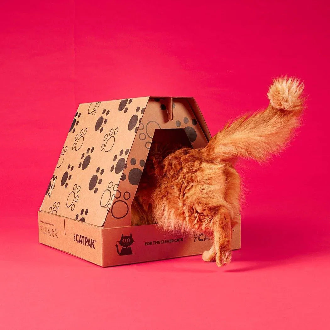 The Original CATPAK with 2 X 3 LITRE CATPAK