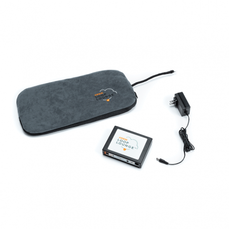 Assisi Loop Lounge - tPEMF Therapy Bed