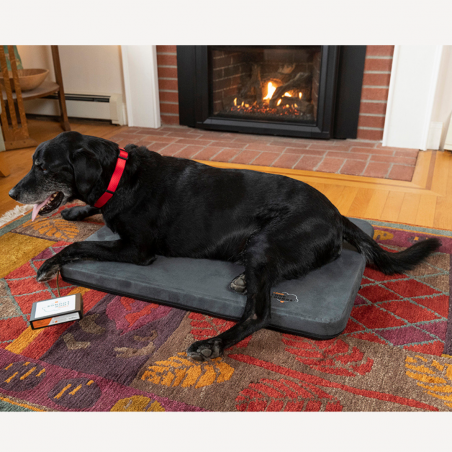 Assisi Loop Lounge - tPEMF Therapy Bed