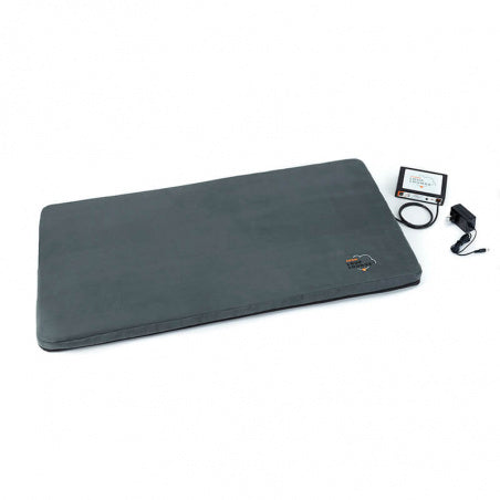 Assisi Loop Lounge - tPEMF Therapy Bed