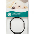 Assisi - Calmer Canine Anxiety Treatment System