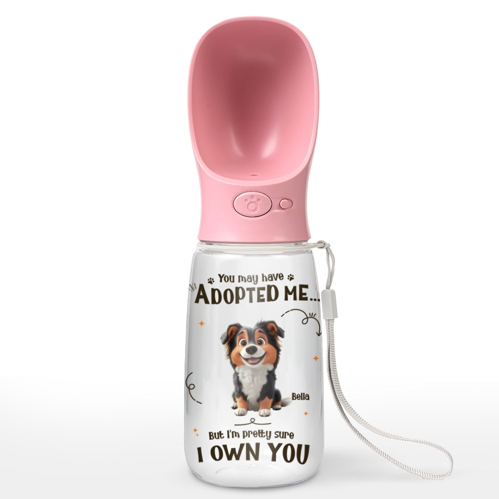 We Own You - Personalized Pet Water Bottle With Drinking Feeder