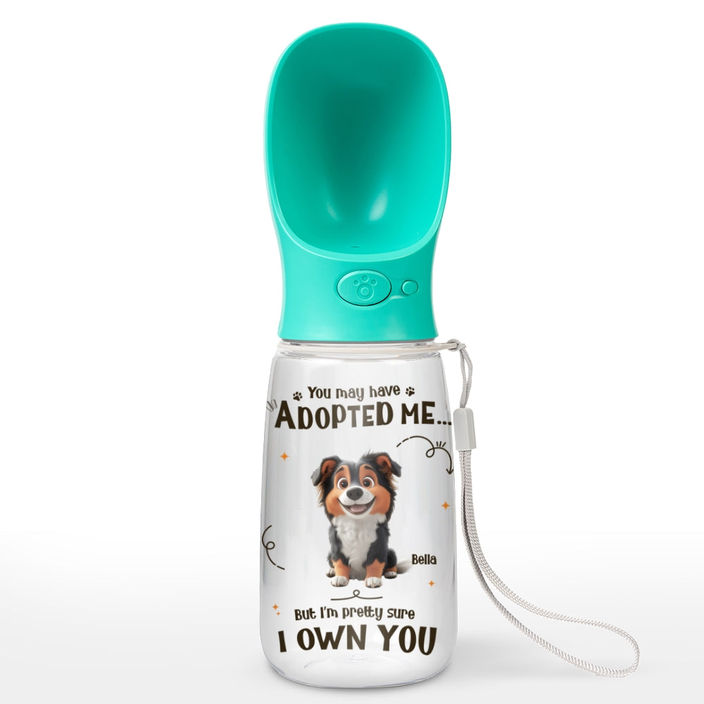 We Own You - Personalized Pet Water Bottle With Drinking Feeder
